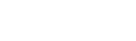 Tiger Security Logo